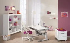 PAIDI Rollcontainer Rollcontainer 3S