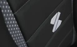 Gamingstuhl Ace 20 Gamingstuhl Ace -Einzelbanke 11352537 6 202001212236