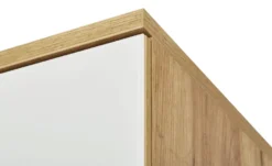 Uno Dielenschrank Bent -Einzelbanke 11367559 9 202401262234