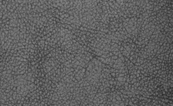 Polsterstuhl 2-er Set Aus Buche Marlon -Einzelbanke 12302880 5 201811271507