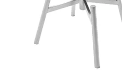 Esszimmerstuhl Drehbar Effi 8 Esszimmerstuhl Drehbar Effi -Einzelbanke 14307532 1 202303302234