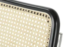 Schwingstuhl Marvin -Einzelbanke 14308337 3 202409052238