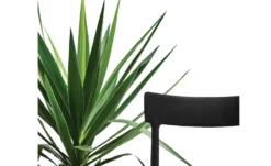 Connubia Stuhl Stapelbar Argo