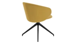 Connubia Polsterstuhl Drehbar Tuka -Einzelbanke 15308930 7 202301302241