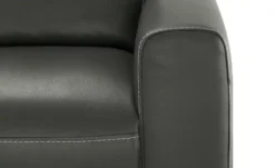 Wohnwert Einzelsofa Echtleder Alexia 23 Wohnwert Einzelsofa Echtleder Alexia -Einzelbanke 26404175 10 202107011259