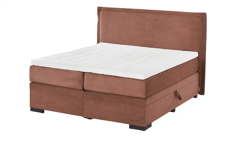 Jette Home Boxspringbett Mit Bettkasten Adapt 6 Jette Home Boxspringbett Mit Bettkasten Adapt – Bild 4
