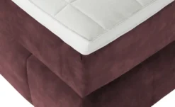 Jette Home Boxspringbett Glam New -Einzelbanke 50123361 5 202412172351