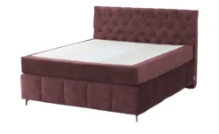 Jette Home Boxspringbett Glam New -Einzelbanke 50123361 8 202412172351