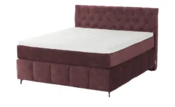 Jette Home Boxspringbett Glam New -Einzelbanke 50123361 9 202412172351